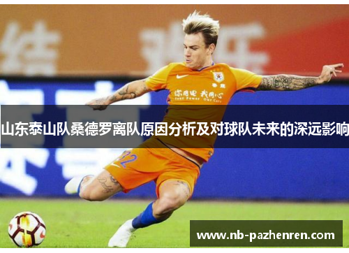 山东泰山队桑德罗离队原因分析及对球队未来的深远影响