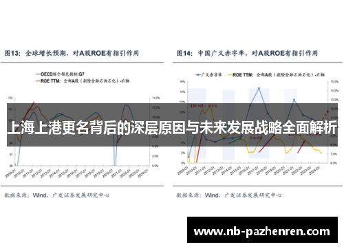 上海上港更名背后的深层原因与未来发展战略全面解析