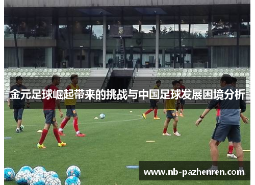 金元足球崛起带来的挑战与中国足球发展困境分析