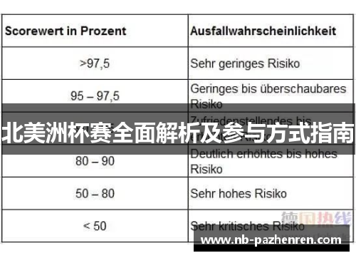 北美洲杯赛全面解析及参与方式指南