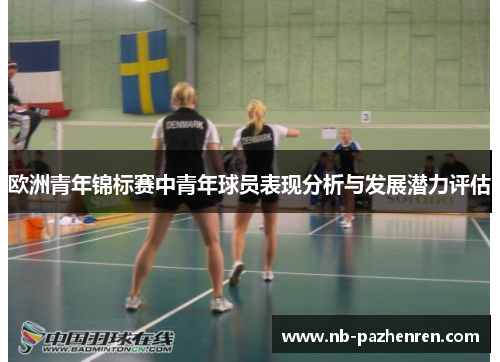 欧洲青年锦标赛中青年球员表现分析与发展潜力评估