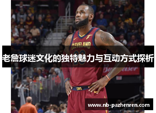 老詹球迷文化的独特魅力与互动方式探析